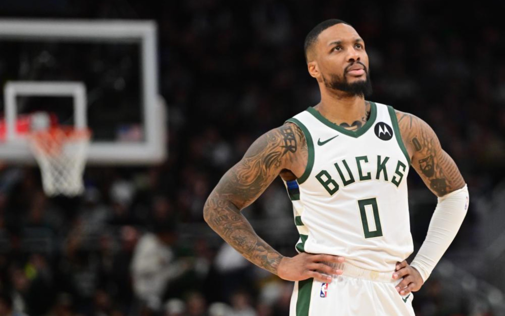 中率高达5 中率高达5